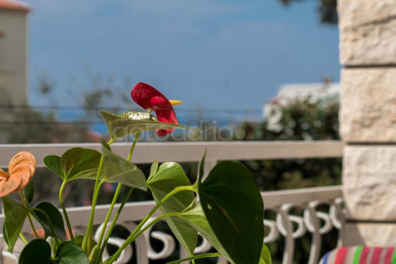 Apartment Quiet Area Rose Makarska